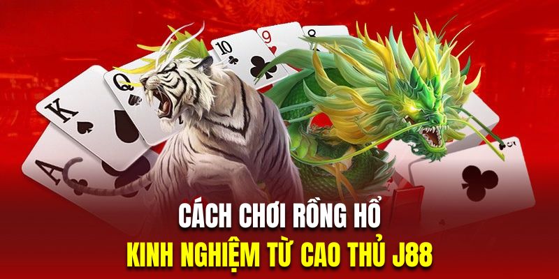 Cách Chơi Rồng Hổ – Kinh Nghiệm Từ Cao Thủ J88